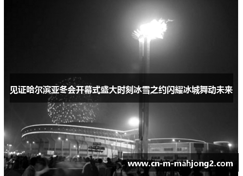 见证哈尔滨亚冬会开幕式盛大时刻冰雪之约闪耀冰城舞动未来