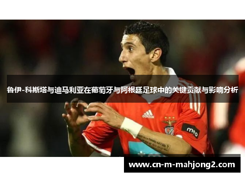 鲁伊-科斯塔与迪马利亚在葡萄牙与阿根廷足球中的关键贡献与影响分析 鲁伊-科斯塔与迪马利亚在葡萄牙与阿根廷足球中的关键贡献与影响分析