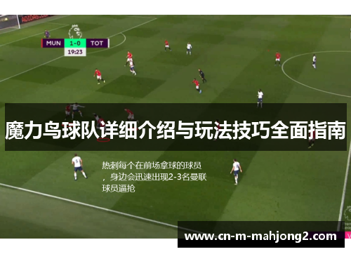 魔力鸟球队详细介绍与玩法技巧全面指南 魔力鸟球队详细介绍与玩法技巧全面指南