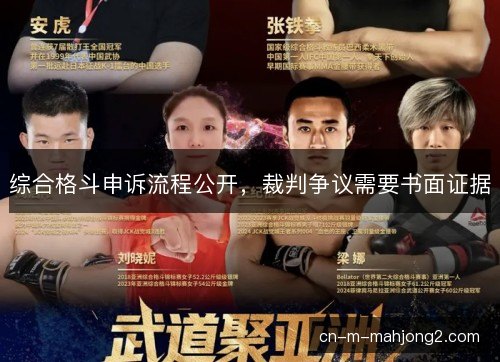 综合格斗申诉流程公开，裁判争议需要书面证据