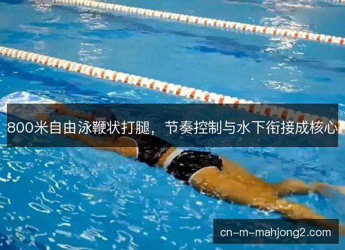 800米自由泳鞭状打腿，节奏控制与水下衔接成核心